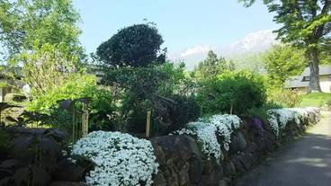 施設からの眺望 / 14