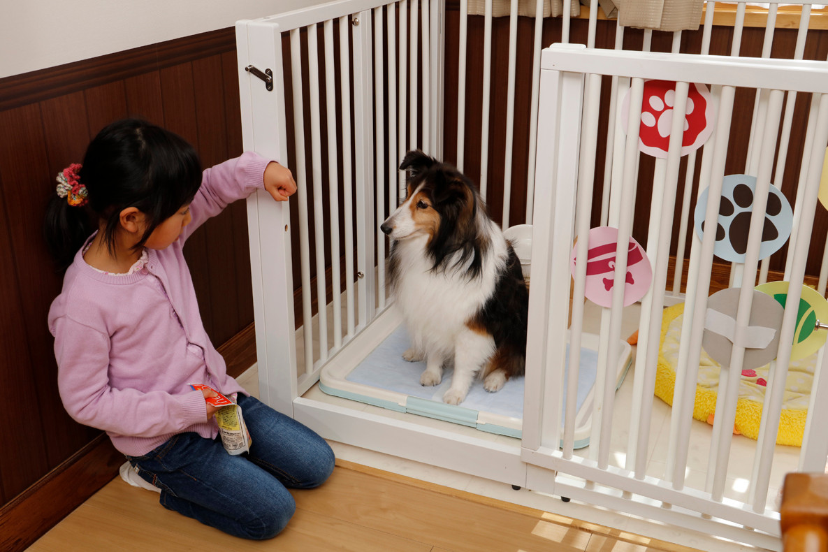 ペット用アメニティーが豊富！3933702