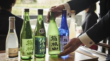 THE HIRAMATSU HOTELS＆RESORTS 仙石原（ザ ヒラマツ ホテルズ アンド リゾーツ センゴクハラ） / 8