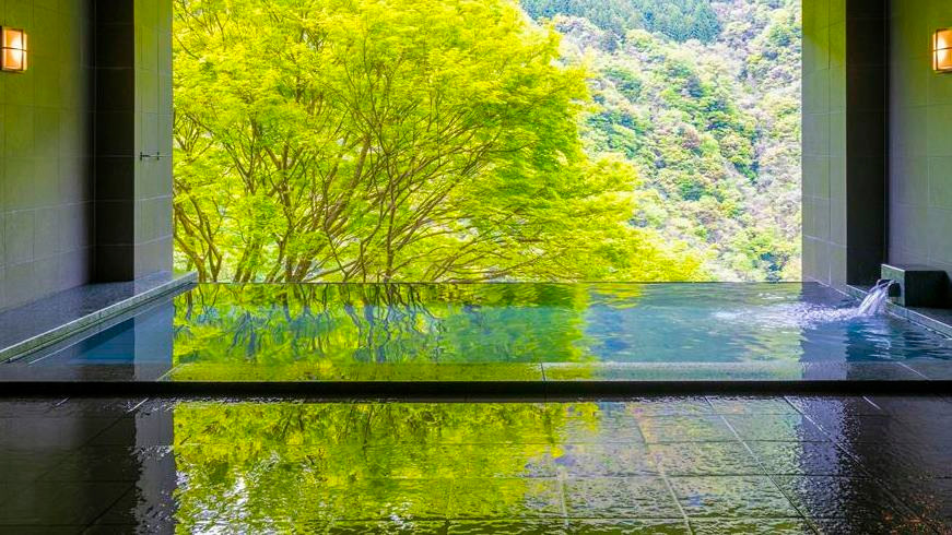 祖谷渓谷を一望できる展望テラスは格別3495271