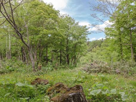 温泉ゲストハウス、美瑛白金の湯 / 3