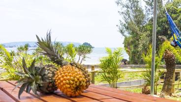 テラス / パティオ / 12