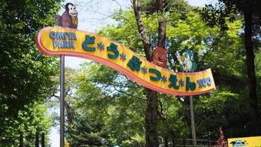 観光スポット / 10