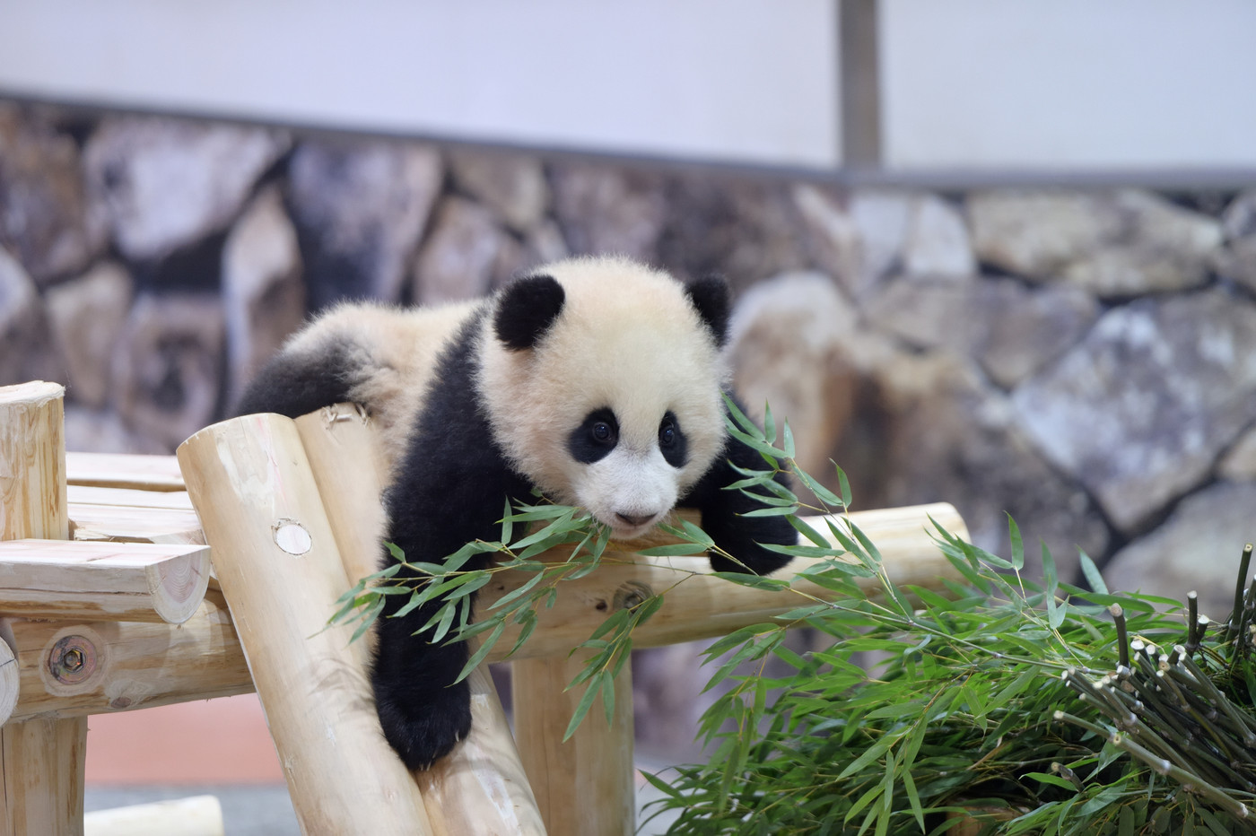 好奇心いっぱいの結浜