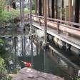 伊豆畑毛温泉 大仙家（HMIホテルグループ）