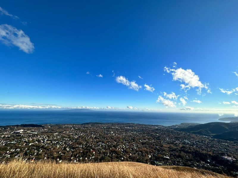 伊東市のランドマーク「大室山(おおむろやま)」。リフトで山頂まで上り、お散歩感覚で噴火口跡を一周する「お鉢めぐり」を楽しめる。360度見渡すことができ、爽快感たっぷり / 3