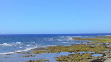 施設からの眺望 / 9