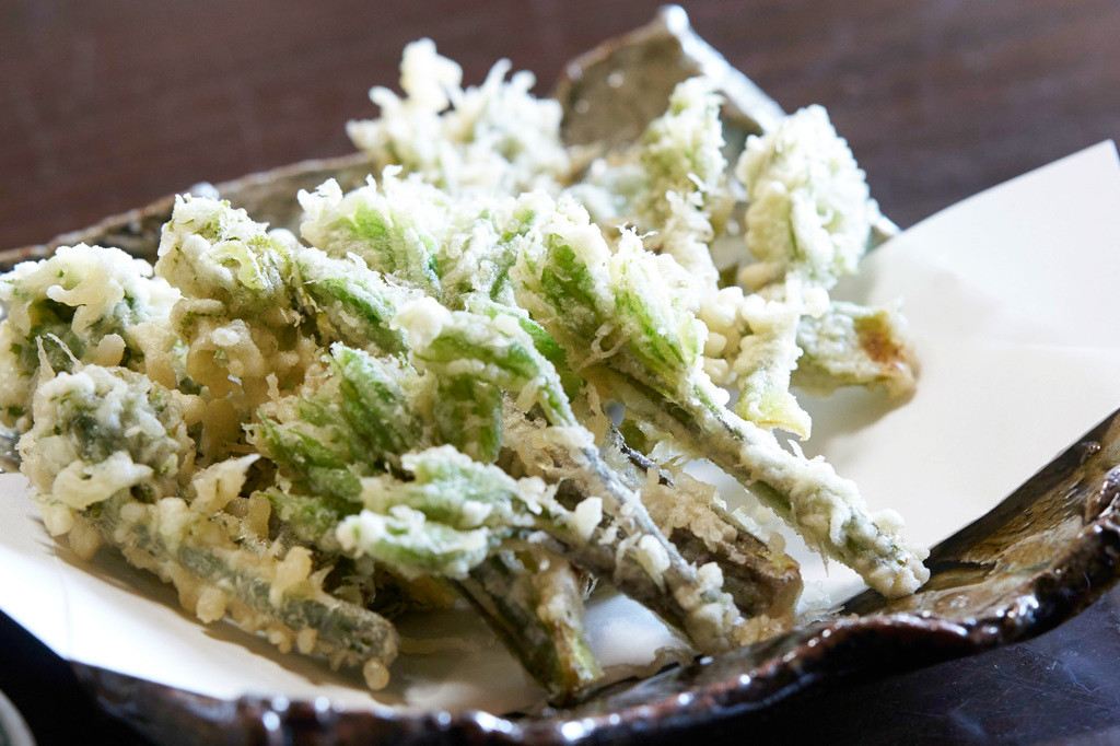 源泉かけ流し、山の恵みを食べて元気になれる4237488