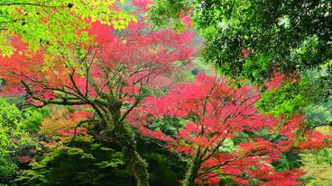 ランド ビュー / 5