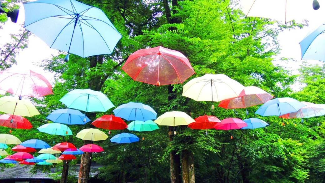 癒しのスポット
「ハルニレテラス」へ / 2