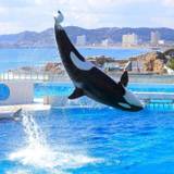 鴨川シーワールド① / 3