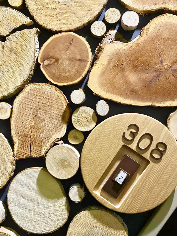 ol_syuttyo_gohaanさんの写真 / 2