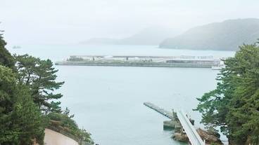 施設からの眺望 / 11