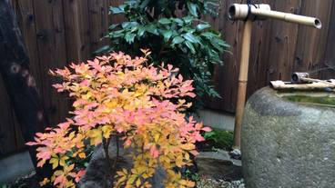 施設からの眺望 / 13