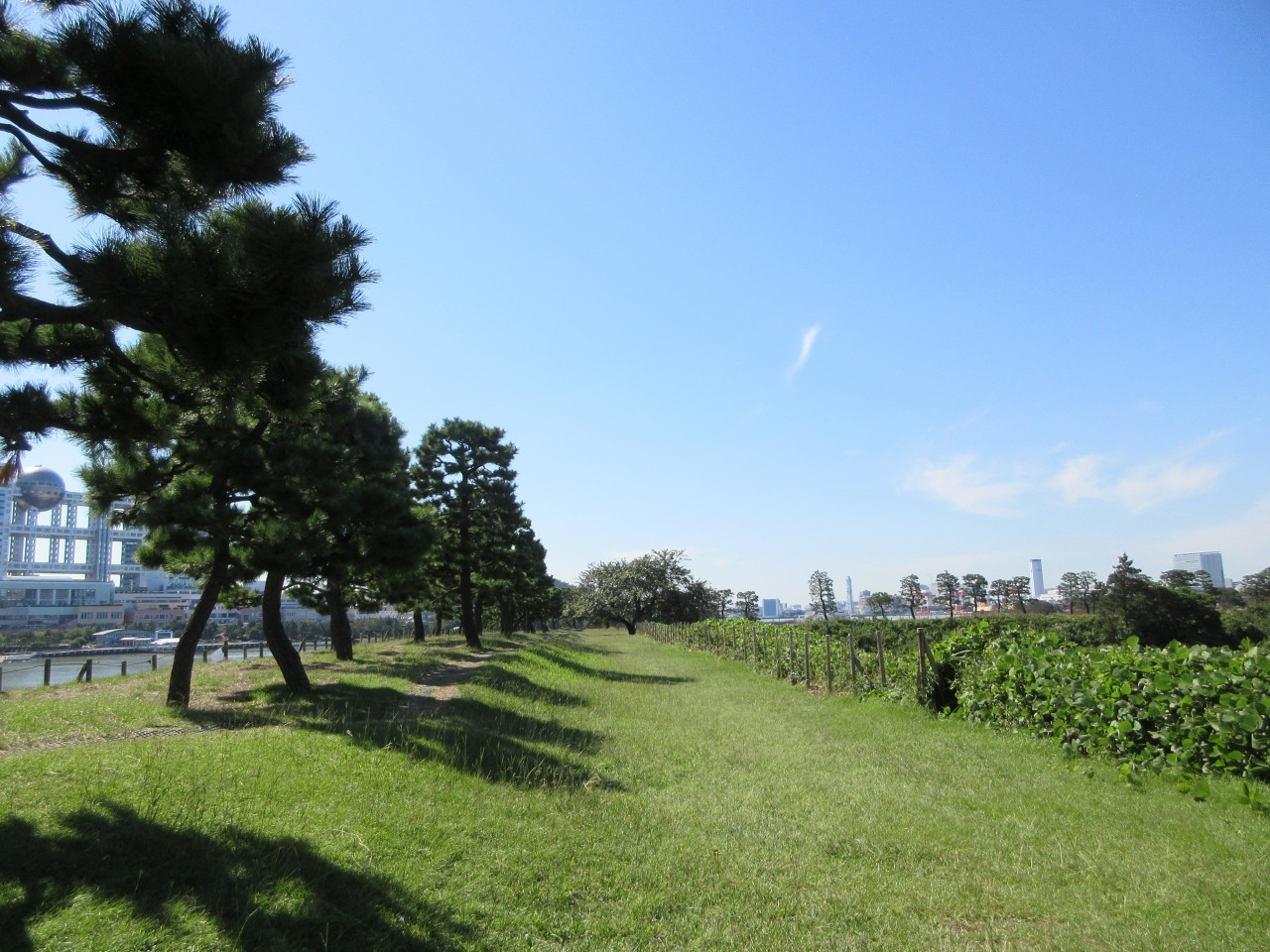2．台場公園3661413
