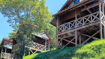 施設の敷地 / 26