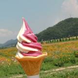 ひまわりカフェ（ヒマワリカフェ）