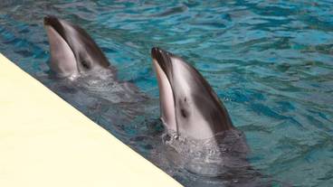 観光スポット / 9