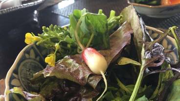 レストラン / 11