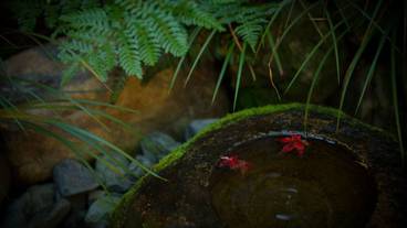 施設からの眺望 / 6