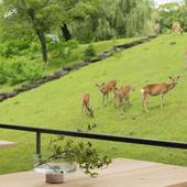 MIROKU 奈良 by the SHARE HOTELS（奈良県 シティホテル） / 2