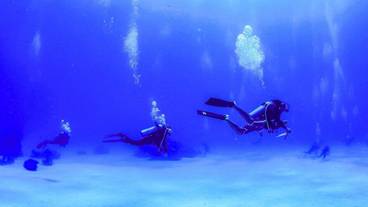 スポーツ場 / 11