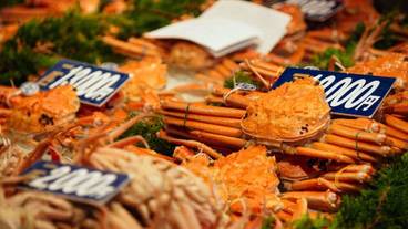 観光スポット / 1