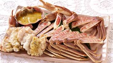 食事・飲み物 / 17