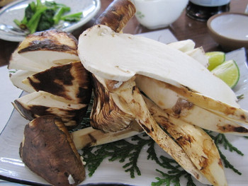 「松茸山　鈴子山荘 本店」料理 778533 