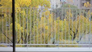 バルコニーからの眺望 / 13