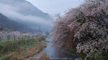 マウンテン ビュー / 29