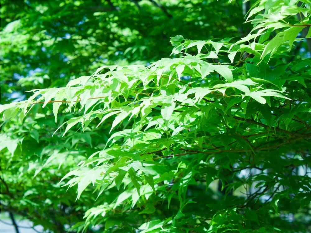 施設からの眺望