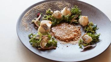 レストラン / 16