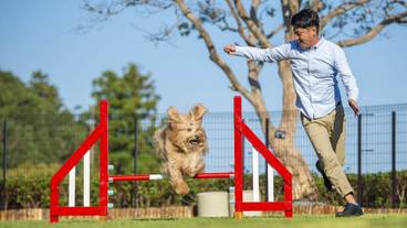 ペット同伴可 / 9