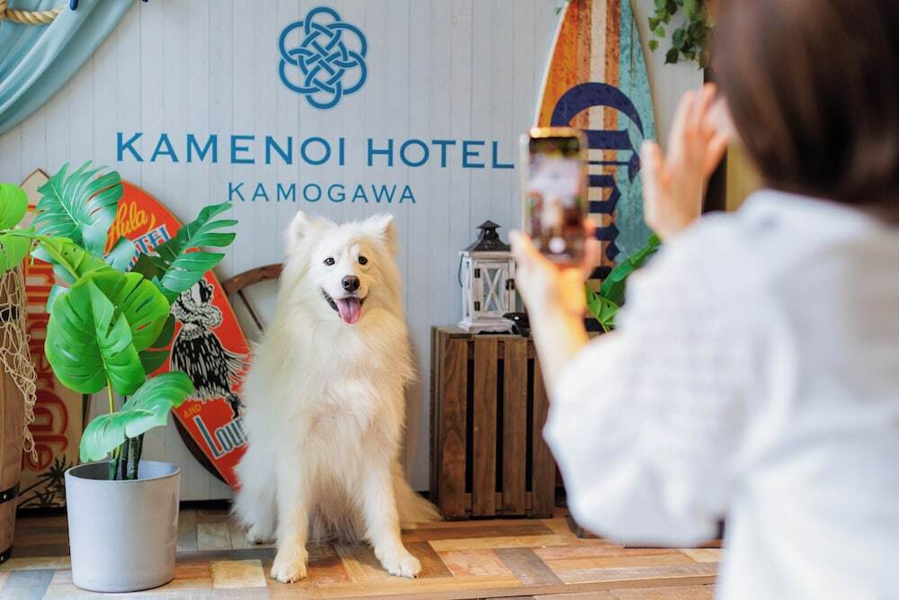 ペット用設備・サービス