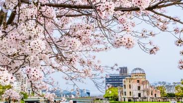 シティ ビュー / 16