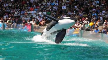 観光スポット / 9