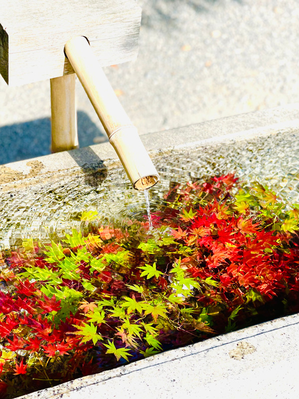 junsuk0804さんの写真 / 1