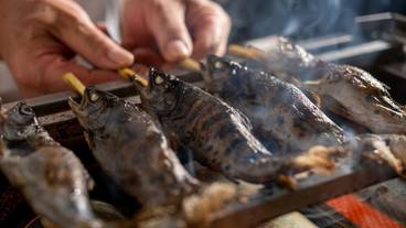 夕食／ヤマメの塩焼き / 4