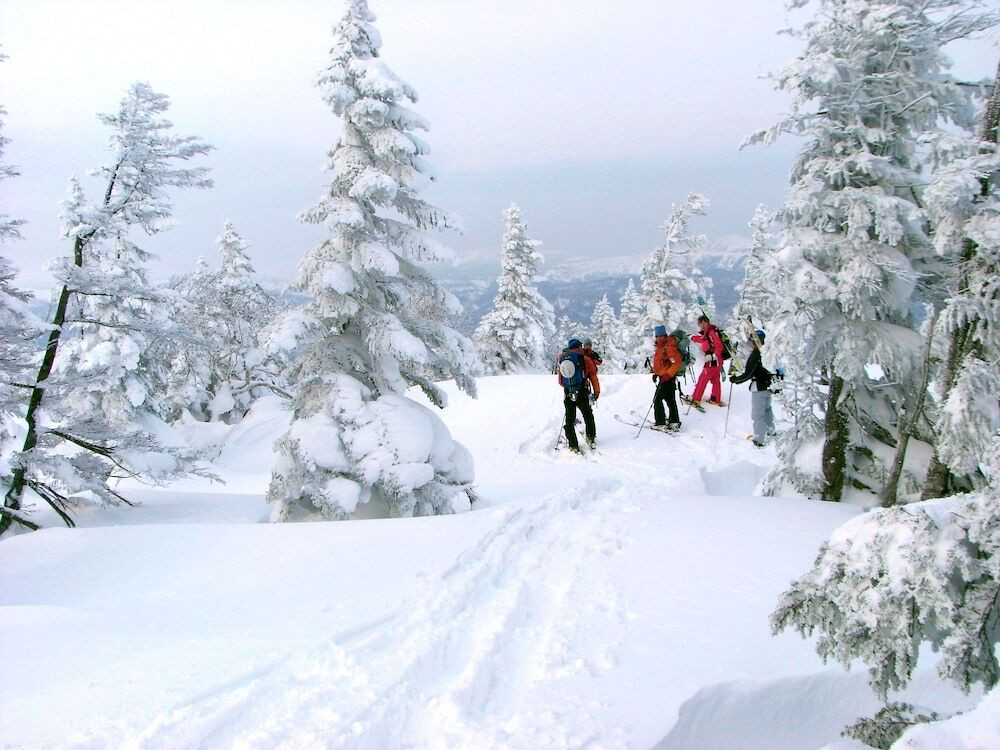 スノー スポーツとスキー