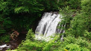 施設の敷地 / 25