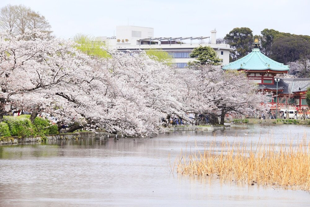 湖