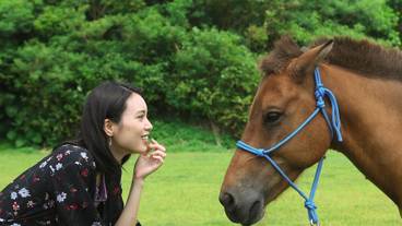 乗馬 / 13