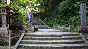 ランド ビュー / 20