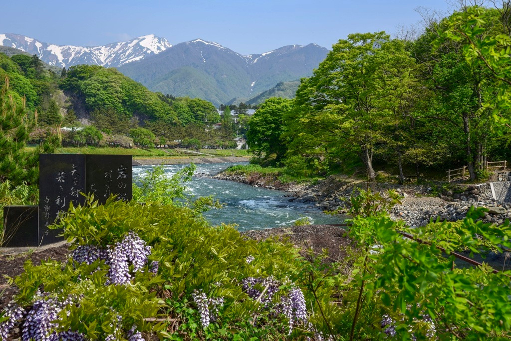 春の諏訪峡１