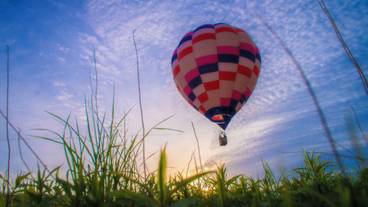 施設からの眺望 / 21