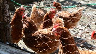 施設の敷地 / 23