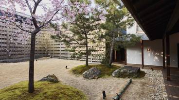 中庭の桜 / 7