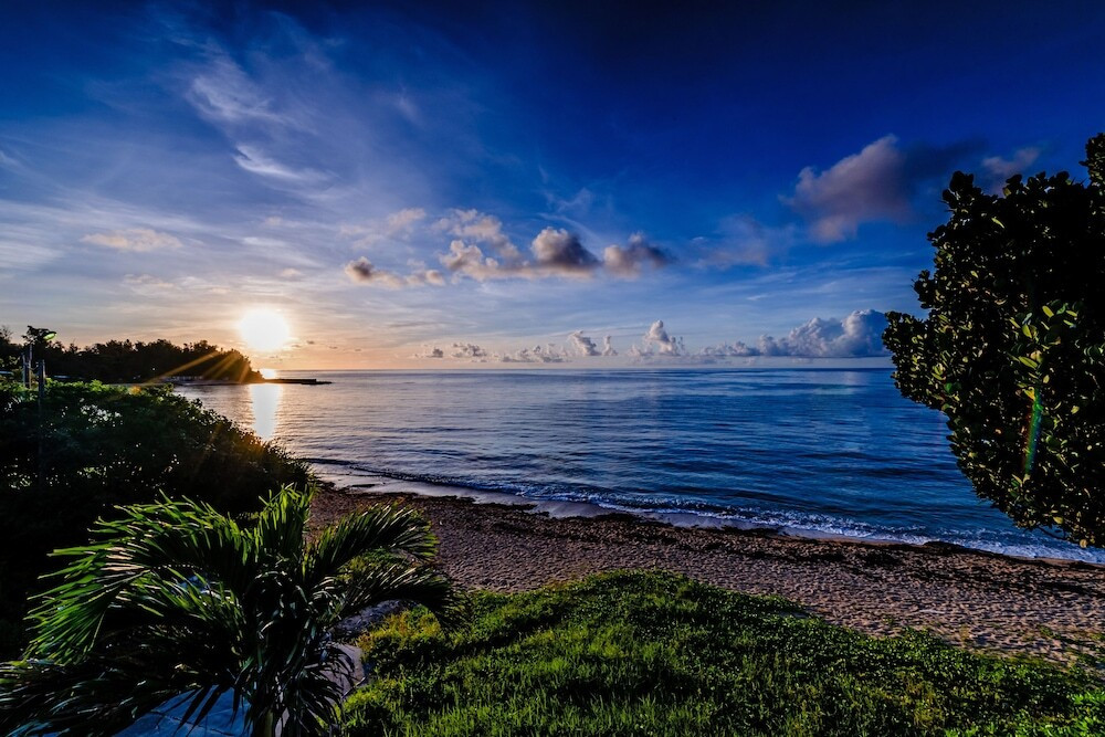 施設からの眺望
