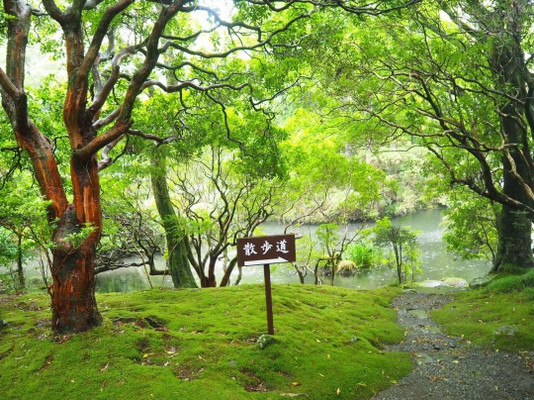 yu_cozylifeさんの写真 / 2